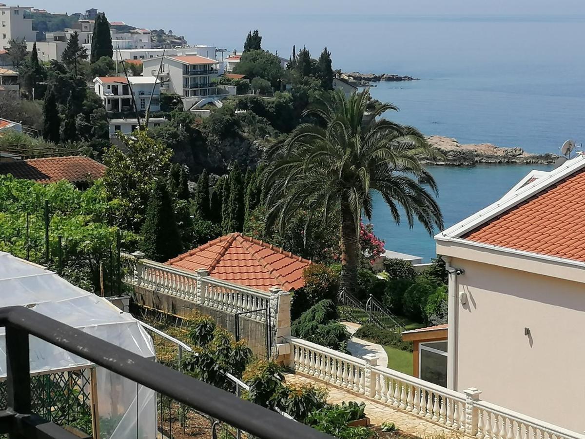 Apartman Marinkovic 도브라 보다 외부 사진